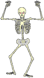 Les squelettes